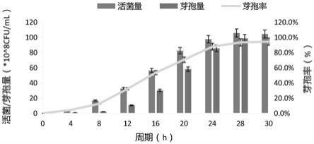 一株产乳酸凝结芽孢杆菌及其应用的制作方法