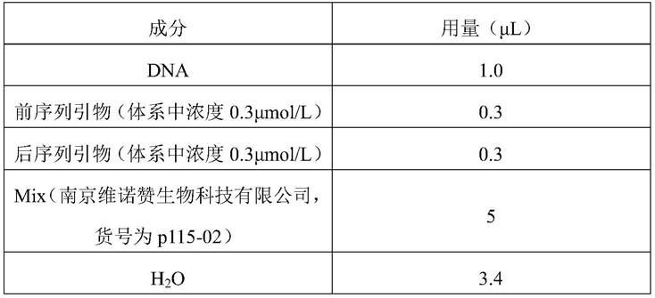 一种用于槭叶铁线莲遗传多样性分析的SSR分子标记及其应用的制作方法