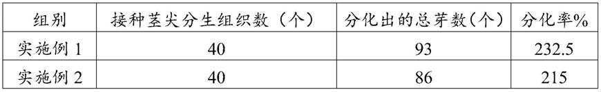 一种改良MS培养基及其制备方法与应用