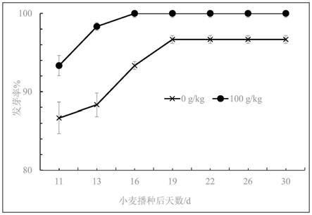 一种提高小麦发芽率的方法