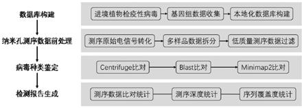 基于纳米孔测序的进境植物检疫性病毒鉴定方法及应用与流程