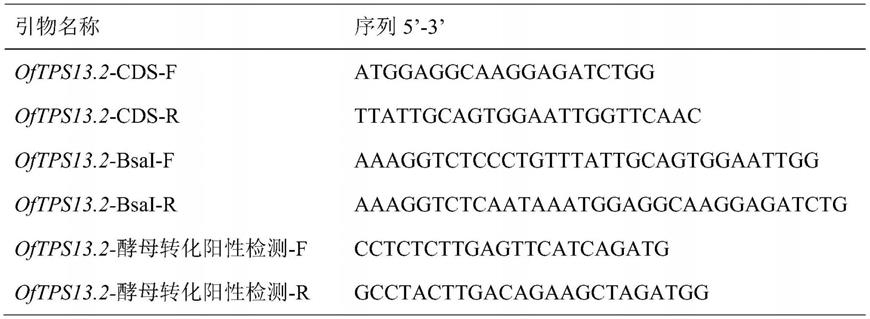 桂花基因OfTPS13.2及其应用