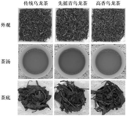 一种基于树体非生物胁迫的高香型乌龙茶加工方法