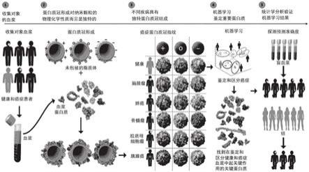 用于疾病的早期检测的蛋白质冠传感器阵列的系统和方法与流程