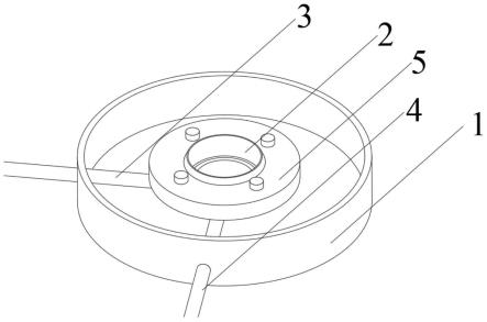 一种体外猪眼前节灌注和培养模型及其应用的制作方法