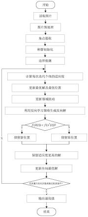 基于改进的黏菌算法的水下相机标定优化方法