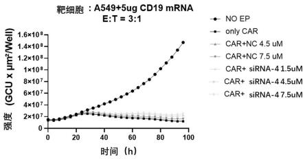 GM-CSF抑制剂及其用途的制作方法