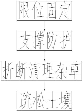 林业种苗栽培方法与流程