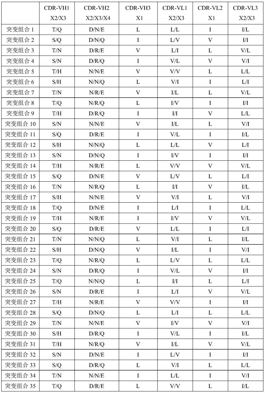 抗恶性疟原虫HRP-II的抗体、检测恶性疟原虫的试剂和试剂盒的制作方法