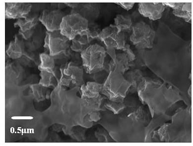一种甲醇燃料电池阳极复合纳米催化剂材料及其制备方法与应用与流程