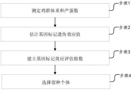 一种高产蛋黄羽肉鸡的基因组育种值遗传评估方法