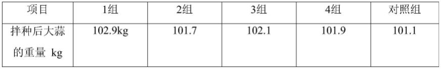 一种大蒜拌种剂及其使用方法与流程