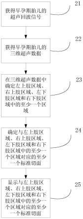 一种早孕期胎儿的超声成像方法和系统与流程