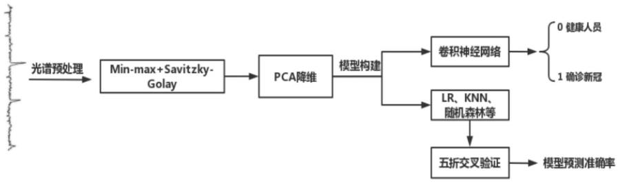 一种基于深度学习卷积神经网络的新冠病毒识别预测模型