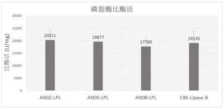 具有溶血磷脂酶及磷脂酶活力的蛋白的制作方法