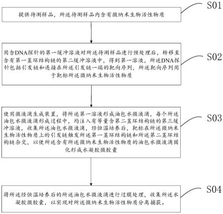 一种分离捕获微纳米生物活性物质的方法和应用与流程