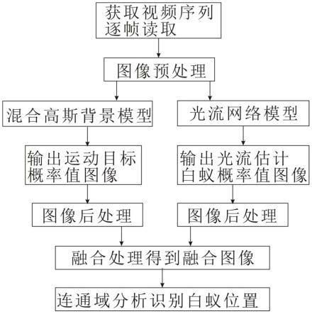 基于光流网络与高斯背景建模的大坝白蚁视频识别方法与流程