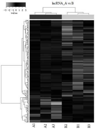 lncRNATC8260作为肺癌治疗靶点的应用的制作方法