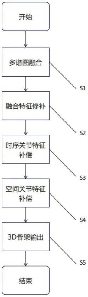 基于毫米波雷达实现人体姿态估计的多谱图融合方法及装置