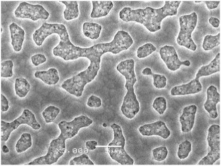 层叠陶瓷电容器内部电极用导电膏组合物及其制造方法以及导电膏与流程