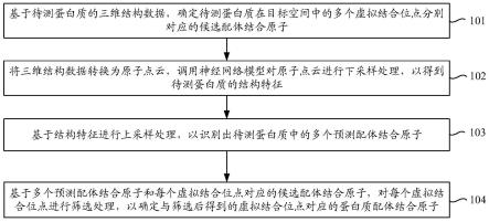 基于人工智能的蛋白质配体结合原子的识别方法、装置与流程