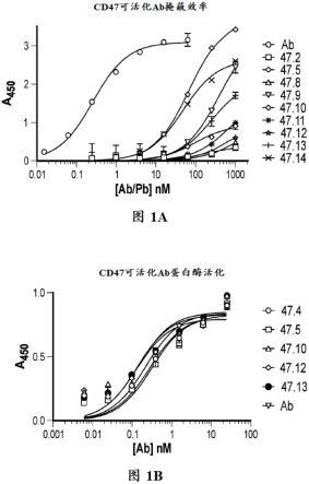 抗CD47抗体、可活化抗CD47抗体及其使用方法与流程