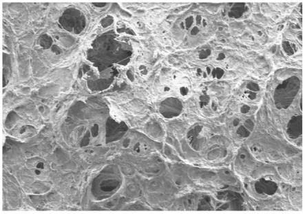 一种负载牙龈间充质干细胞外泌体的矿化胶原凝胶及其制备方法