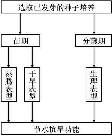 一种植物节水抗旱功能的鉴定方法