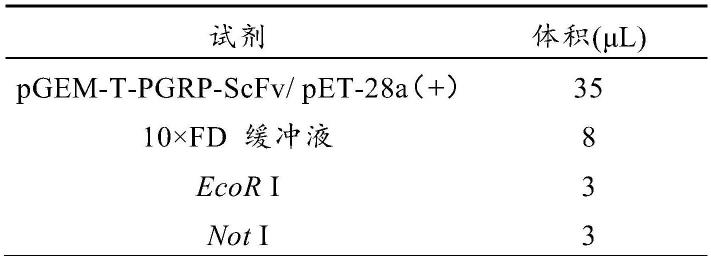 一种抗前胃泌素释放肽单链抗体及其制备方法与用途与流程