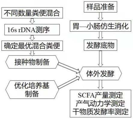 一种仿生消化联合体外发酵评估纤维原料发酵特性的方法