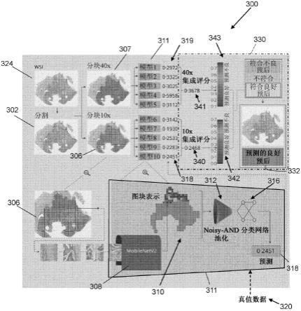 组织学图像分析