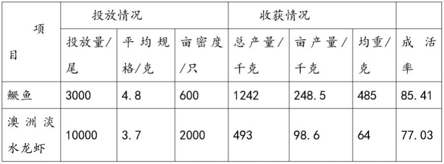 一种饲料鳜鱼和澳洲淡水小龙虾生态健康养殖方法