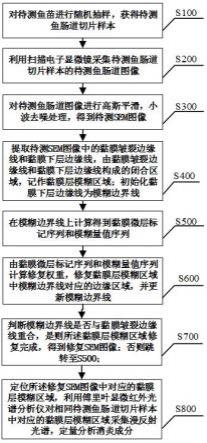 一种利用鱼肠道图像检测饲料中消炎成分的方法及系统