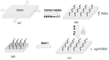 基于弹力收缩的SERS基底的制备方法、SERS基底及其检测方法