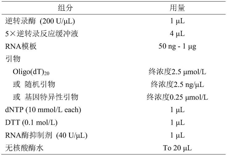 一种提高热稳定性和抑制剂耐受性的逆转录酶突变体及其应用的制作方法