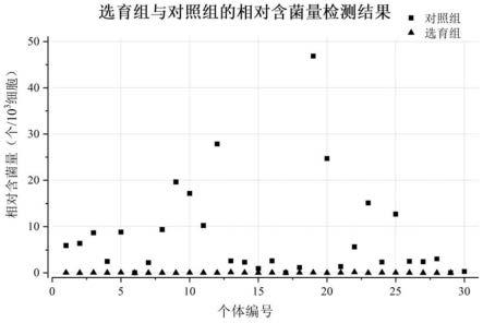 一种抗内脏白点病大黄鱼的分子标记辅助选育方法