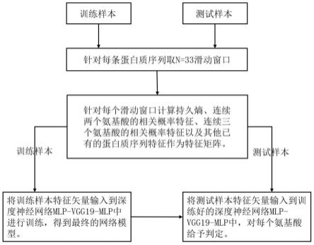 一种固有无序蛋白质预测方法