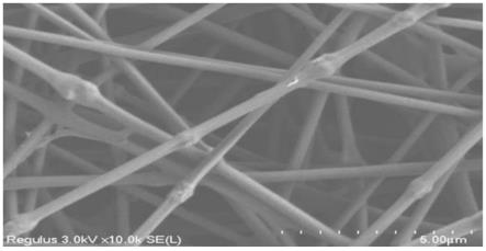 一种分子印迹磁性纳米纤维膜及其制备方法和应用与流程