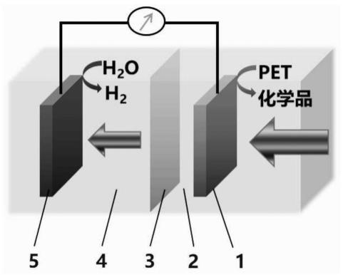 光电催化PET塑料氧化耦合水分解制氢方法及系统