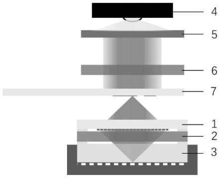 一种基于偏振滤波的超构透镜集成成像器件及成像方法