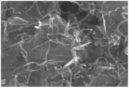 一种碳纳米片原位负载碳纳米管的复合纳米材料及其制备方法和应用
