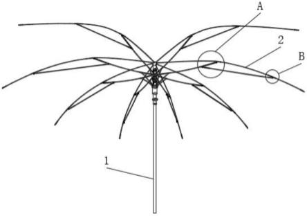 伞骨架的结构知识图解图片