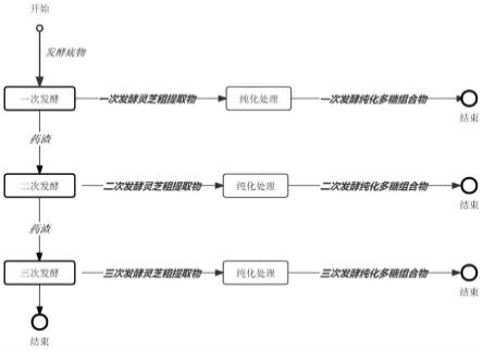 灵芝多糖的发酵提取方法、灵芝多糖组合物及其应用