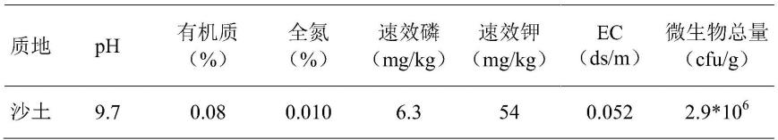 一种沙地桑树栽培方法与流程