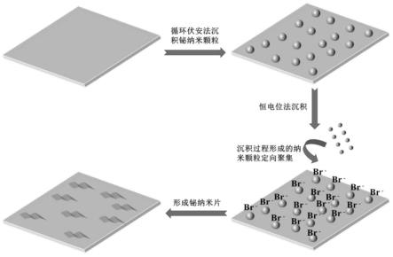 一种原子级厚度的二维铋纳米片材料及其制备方法和应用