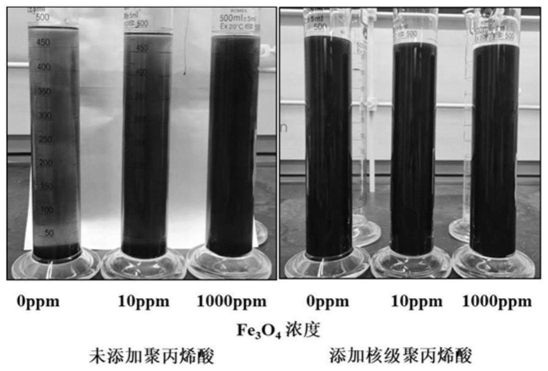 一种核级聚丙烯酸及其制备方法和应用