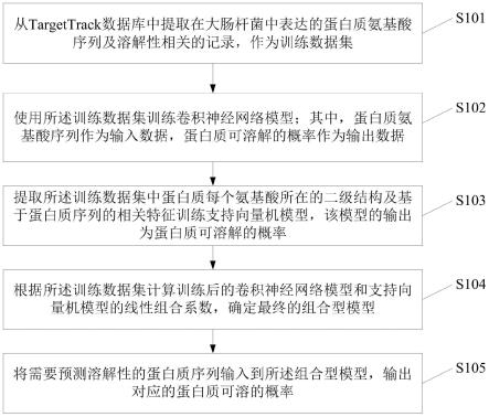 一种基于组合型机器学习模型的蛋白质溶解性预测方法与流程