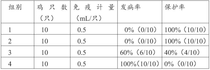 副鸡禽杆菌HA融合蛋白及其三聚体、制备的疫苗组合物、制备方法和应用与流程