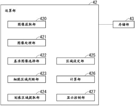 图像解析装置、细胞培养观察装置、图像解析方法、程序及信息处理系统与流程