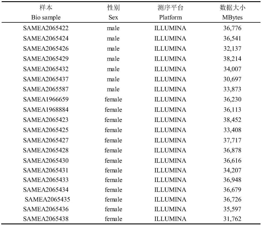 一种高效的基于Y染色体特异序列鉴定山羊性别的方法